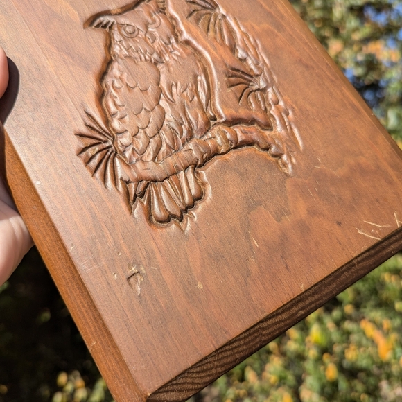 🍁 Vintage Owl Wooden Goblincore Cottage core Wall Plaque 🍁 - Picture 8 of 11